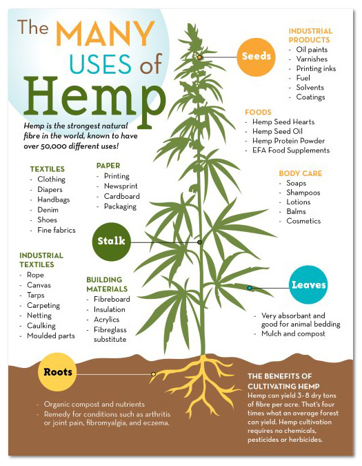 HempInfo