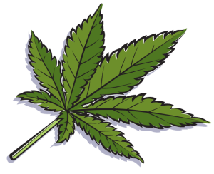 Hemp vs. Marijuana - Hemp_leaf