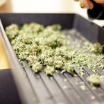 medical marijuana photo: hemp in the news