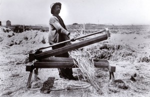 Hemp History: old photo of hemp farmer